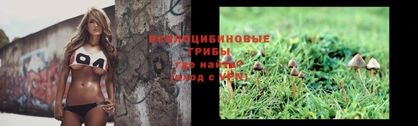 спайс Алзамай