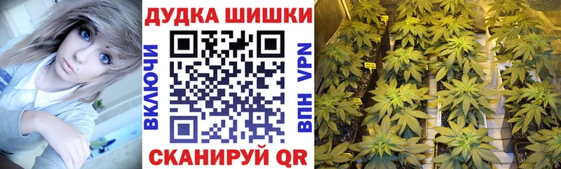 Конопля AK-47  кракен маркетплейс  Ачхой-Мартан  купить наркотик 